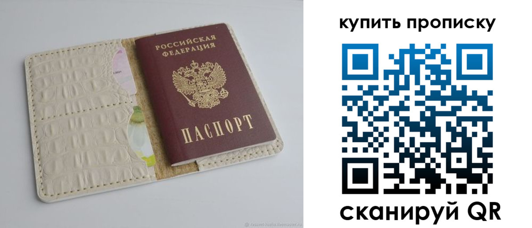 временная регистрация гарантия в Камчатской области